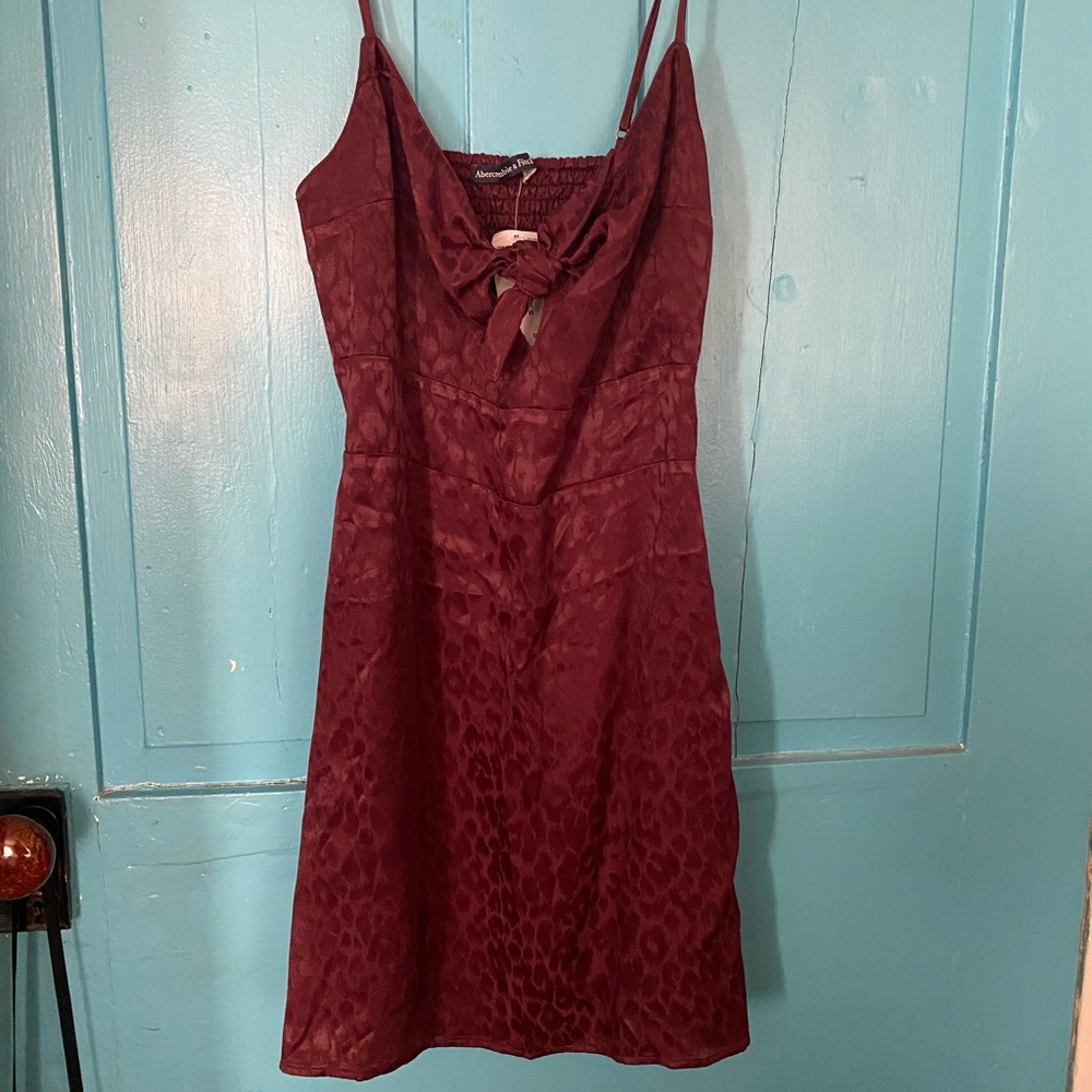 New Abercrombie Dress